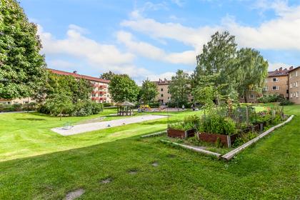 Bild av trädgården