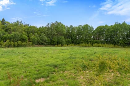 Bild av trädgården