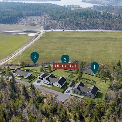 Bild av trädgården