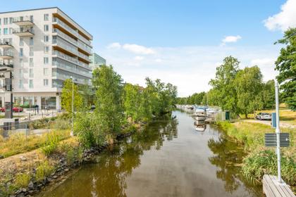 Bild av trädgården