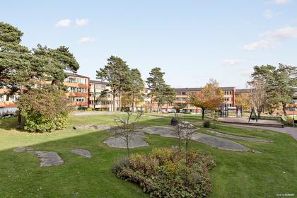 Bild av trädgården