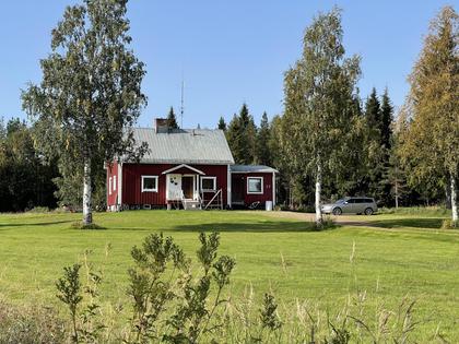 Bild av trädgården