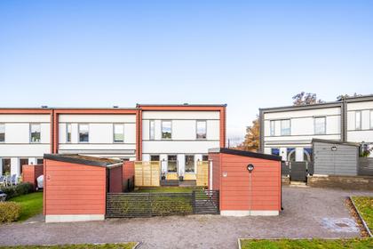 Bild av trädgården