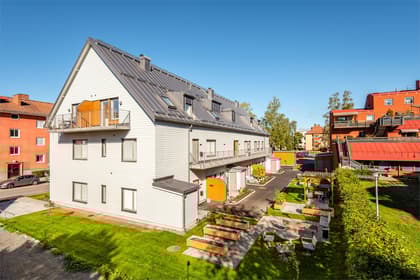 Bild av trädgården