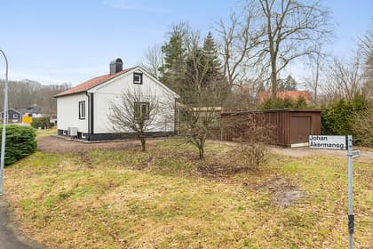 Bild av trädgården