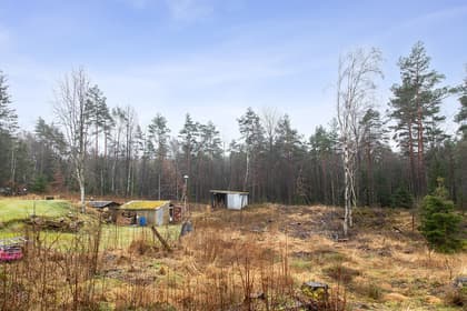 Bild av trädgården