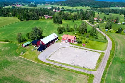 Bild av trädgården