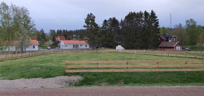 Bild av trädgården