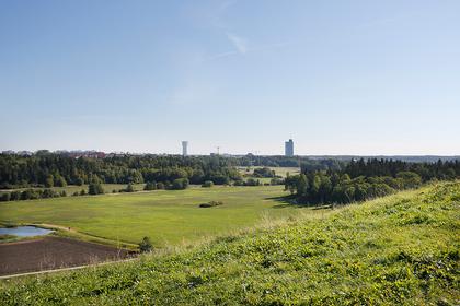 Bild av trädgården