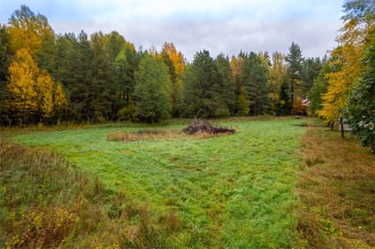 Bild av trädgården
