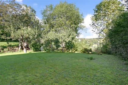 Bild av trädgården