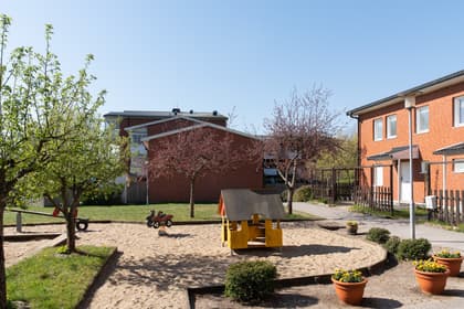 Bild av trädgården