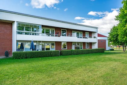 Bild av trädgården