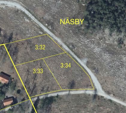 Bild av trädgården