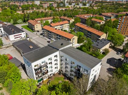 Bild av trädgården