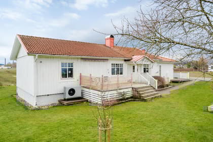 Bild av trädgården