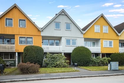 Bild av trädgården