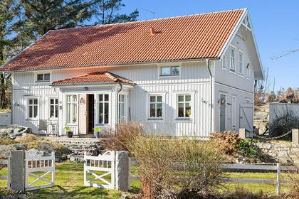 Bild av trädgården