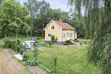 Bild av trädgården