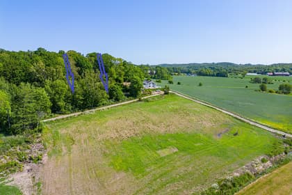 Bild av trädgården