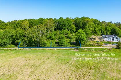 Bild av trädgården