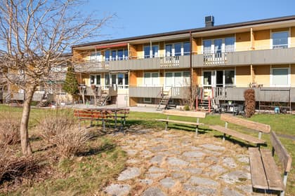 Bild av trädgården