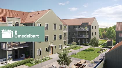 Floras Gränd, Jönköpings län