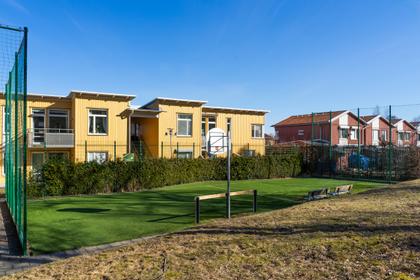 Bild av trädgården