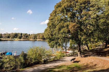 Bild av närområdet