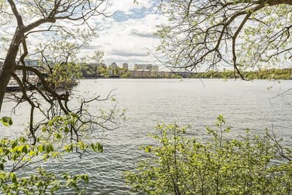 Bild av närområdet