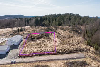 Bild av närområdet