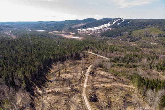 Säfsen 2:468, Ludvika