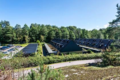 Bild av närområdet