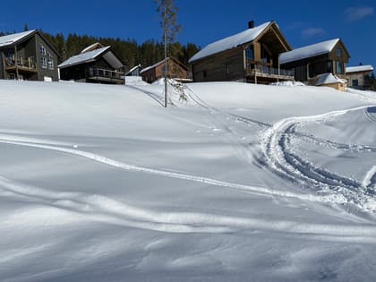Bild av närområdet