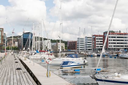 Bild av närområdet