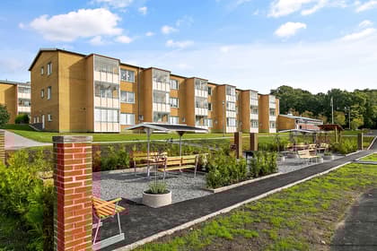 Bild av närområdet