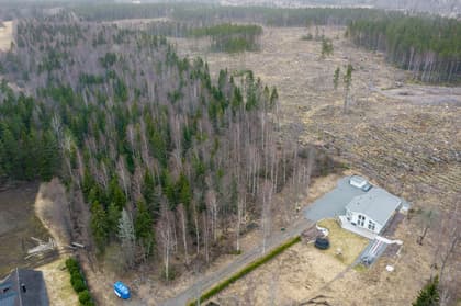 Illustrerad karta över fastigheten eller området