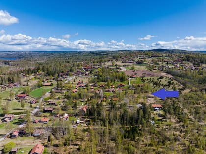 Bild av närområdet