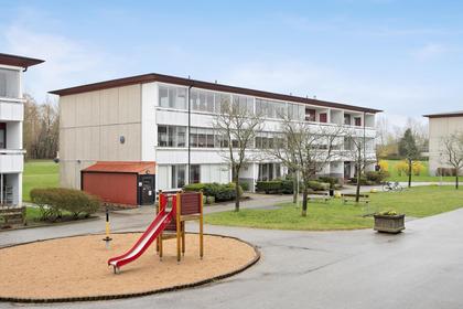 Bild av närområdet