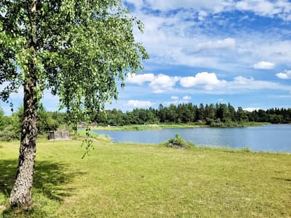 Bild av närområdet