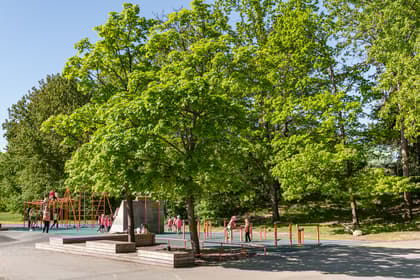 Bild av närområdet