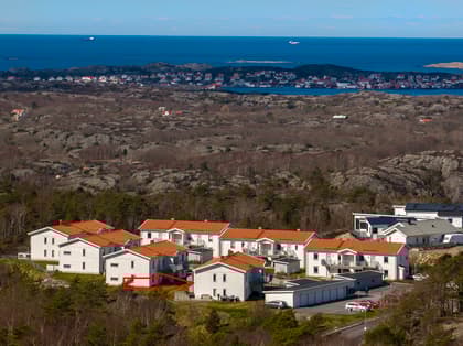 Bild av närområdet