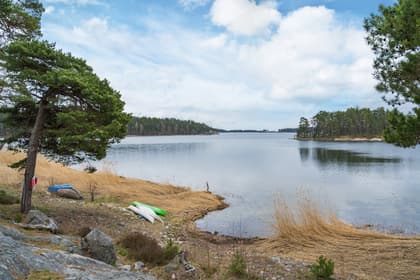 Bild av närområdet