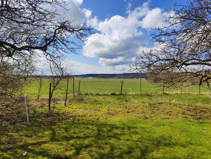 Bild av närområdet