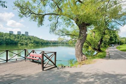 Bild av närområdet