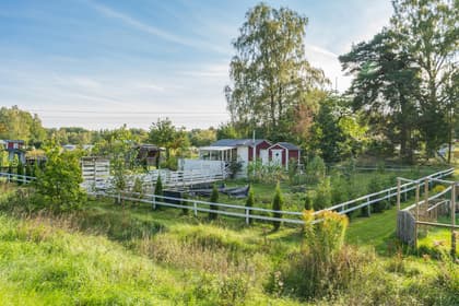 Bild av närområdet