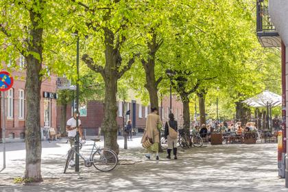 Bild av närområdet