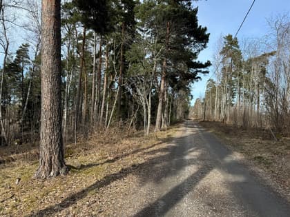 Södra Lunger, Arboga