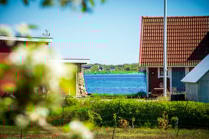 Bild av närområdet