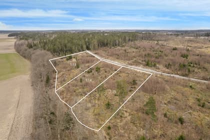 Bild av närområdet